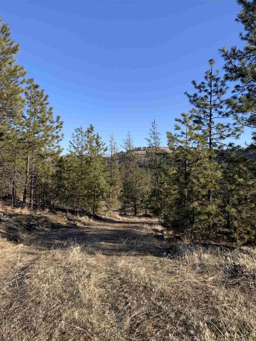 Lot 1 Blue Jay Bob White Ln, Davenport, WA, 99122 | Card Image