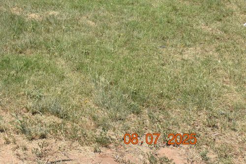 316 E Ursuline St, Lubbock, TX, 79403-2313 | Card Image