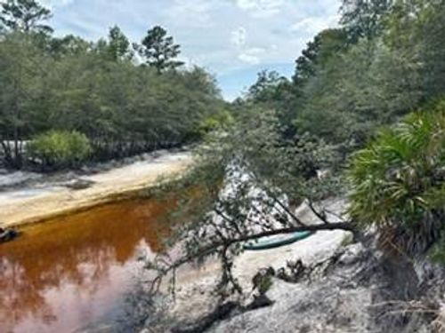 0000 St Marys River Bluff Rd, Saint George, GA, 31562 | Card Image