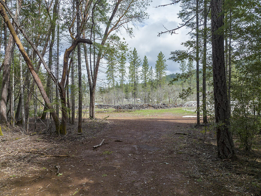 Land in Cave Junction