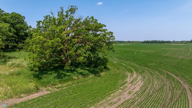 Amdak__Fosston MN - Land_0049.jpg | Image 49