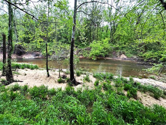 2132 Easy K Rd, Home with 0 bedrooms, 0 bathrooms and null parking in Sage AR | Image 5
