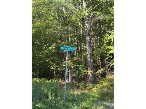 Lot 4 Milo'S Place, Worcester, VT, 05682 | Card Image