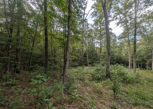 000 Hollow Creek Ln, Clarkrange, TN, 38553 | Card Image