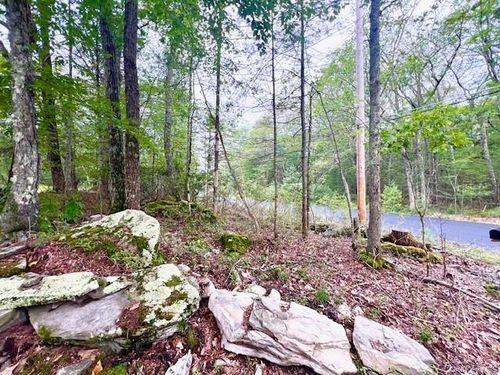 52 Devlin Rd, Highland Lake, NY, 12743-5015 | Card Image