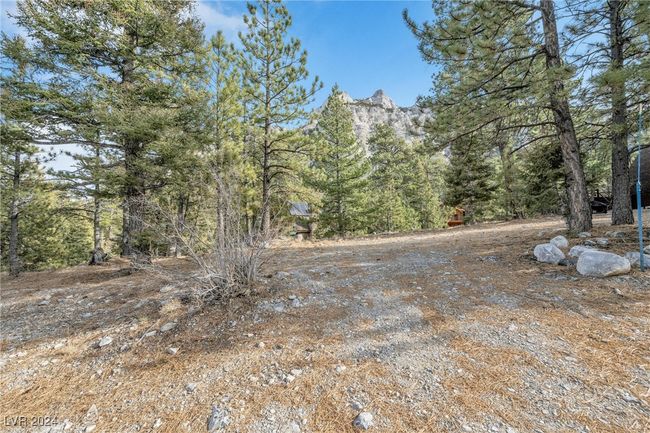 2194 Via Spes Nostra St, Home with 0 bedrooms, 0 bathrooms and null parking in Mount Charleston NV | Image 18