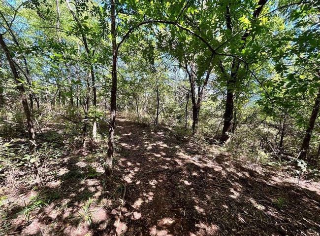 View of landscape with a forest view | Image 11