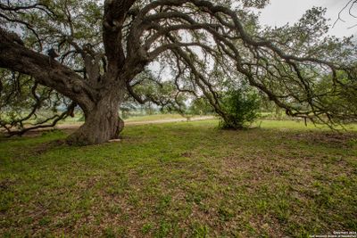 559 County Road 336, Home with 3 bedrooms, 3 bathrooms and null parking in Gonzales TX | Image 3