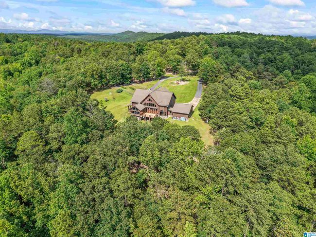 2307 Highway 331, House other with 3 bedrooms, 3 bathrooms and null parking in Columbiana AL | Image 58