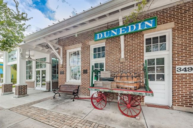 Downtown Dunedin | Image 78