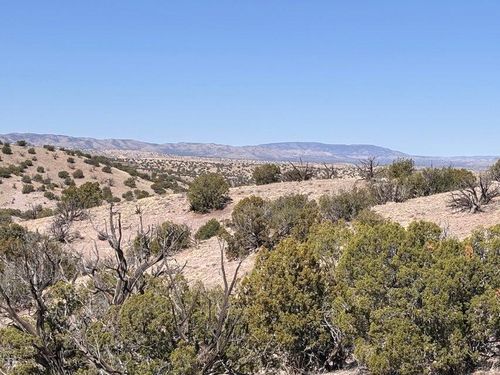 Lot 124 Abbe Springs, Magdalena, NM, 87825 | Card Image