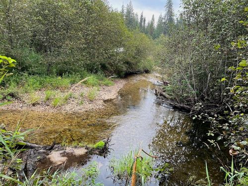 NKA Soggy Bottom Ln, Cusick, WA, 99119 | Card Image