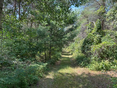v/l Old Rugged Lane, Reed City, MI, 49677 | Card Image