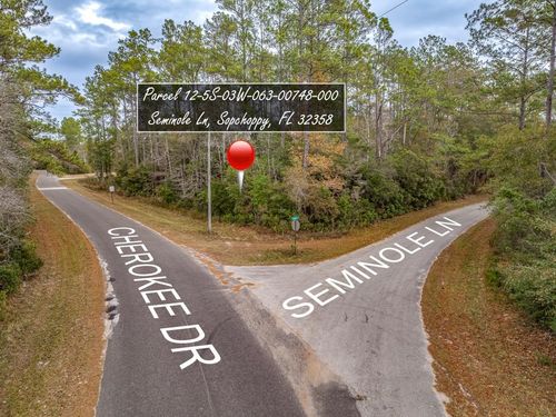 81 Cherokee Drive, Sopchoppy, FL, 32358 | Card Image