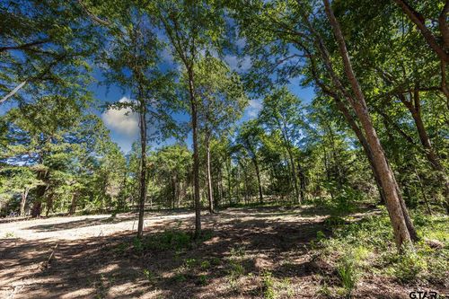 lot-3-3202 Fm 346 N, Bullard, TX, 75757 | Card Image