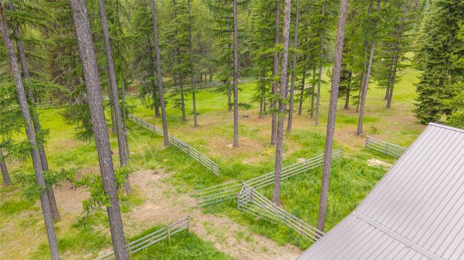 View of yard | Image 18