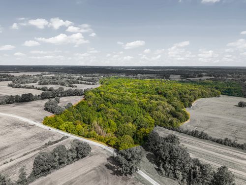 0 Harpers Chapel Rd, Trenton, TN, 38382 | Card Image