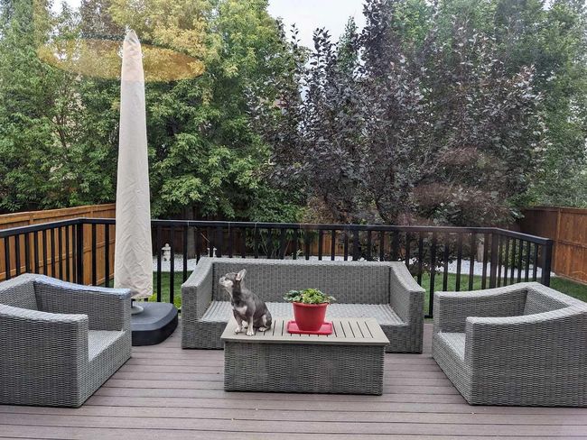 67 Tremblant Way Sw, Home with 3 bedrooms, 2 bathrooms and 2 parking in Calgary AB | Image 26