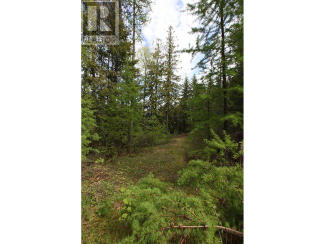 434 Lexington Ave, Home with 0 bedrooms, 0 bathrooms and null parking in Procter BC | Image 39