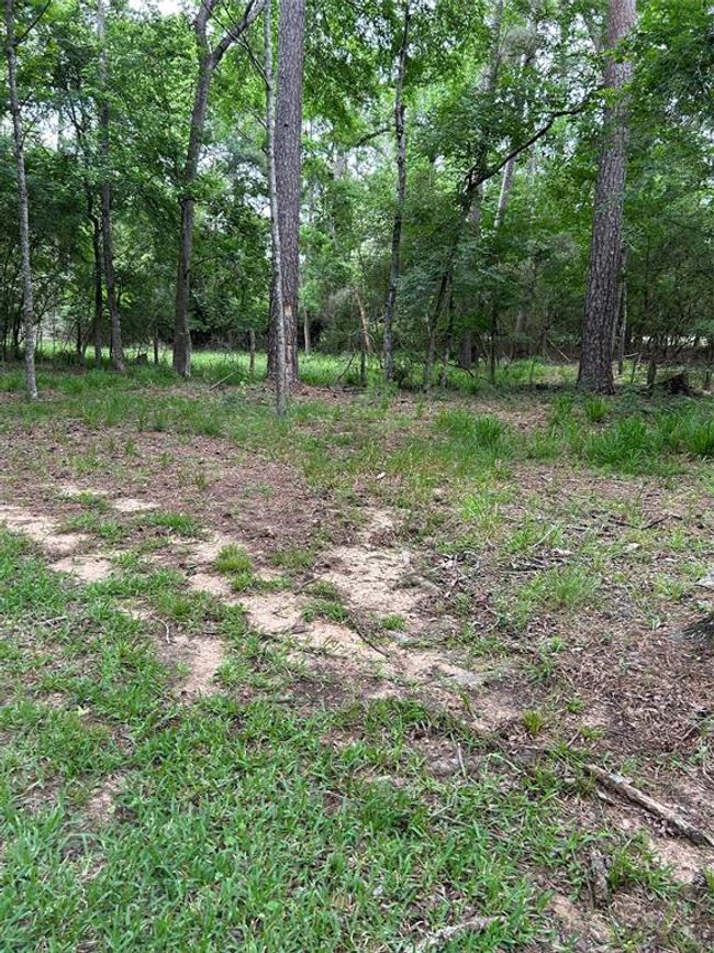 15930 Stagecoach Rd, House other with 3 bedrooms, 2 bathrooms and null parking in Stagecoach TX | Image 16