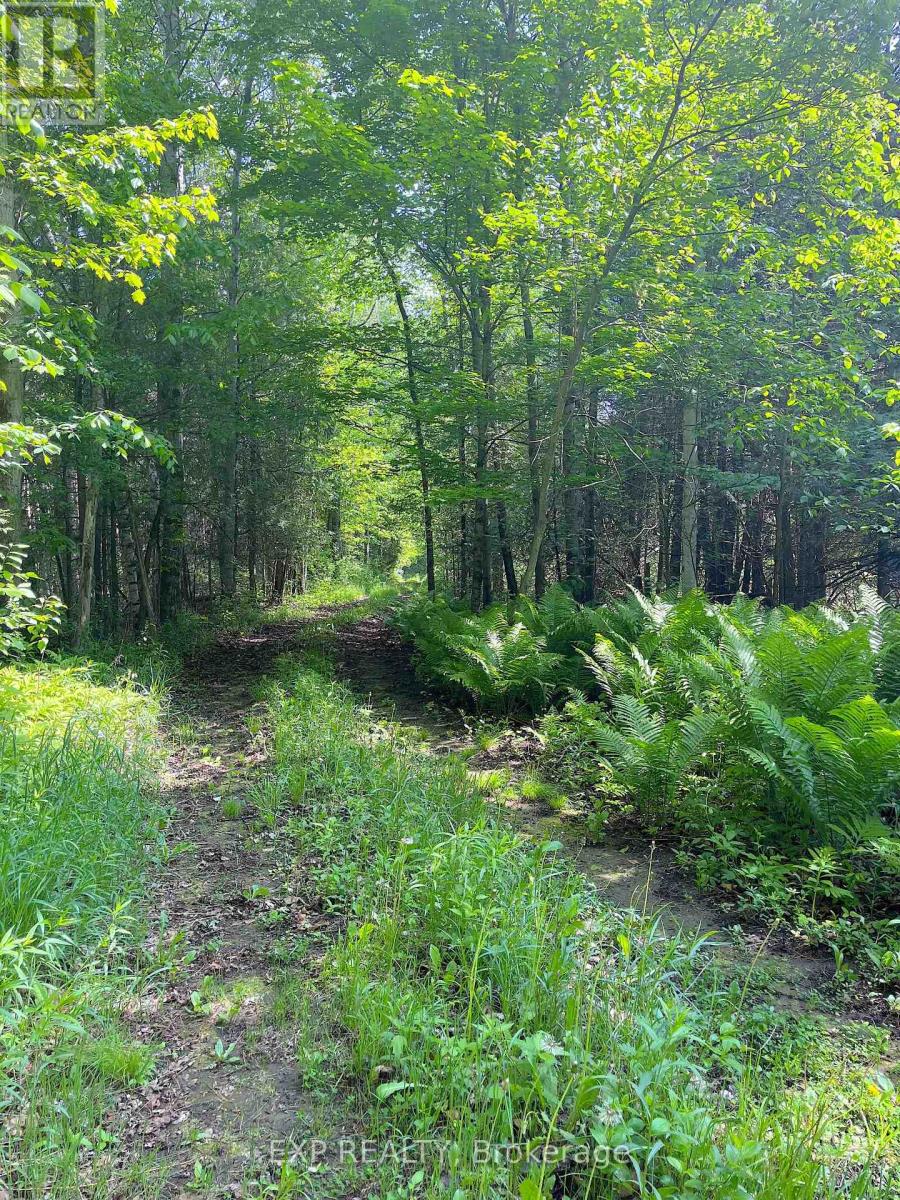 Land in Horton