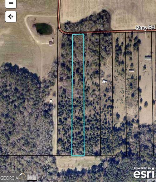 TBD Story Rd Lot#2, Arabi, GA, 31712 | Card Image