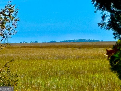 LOT 4 Mission Dr, Darien, GA, 31305-9600 | Card Image