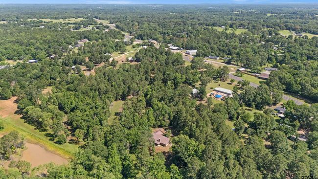 20568 State Highway 110 S, House other with 4 bedrooms, 3 bathrooms and null parking in Troup TX | Image 39
