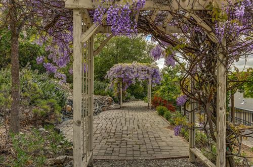 2857 Butte Mountain Rd, Murphys, CA, 95247-9772 | Card Image