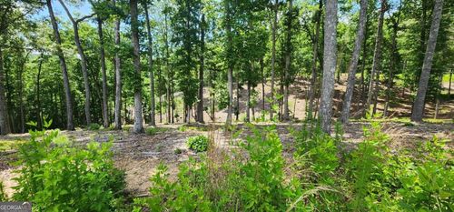 106-LT 106 Split Creek Rd, MORGANTON, GA, 30560-3428 | Card Image