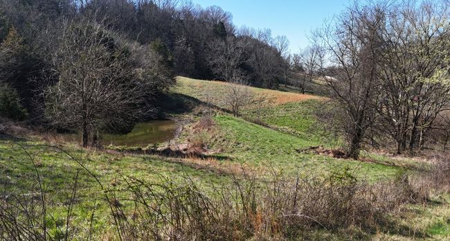 0 Browning Branch Rd, Home with 0 bedrooms, 0 bathrooms and null parking in Bethpage TN | Image 10