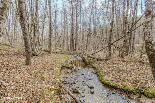 1259 Steve Brown Rd, Bean Station, TN, 37708 | Card Image