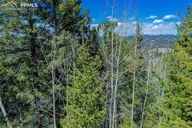 336 Witherite Dr, Home with 0 bedrooms, 0 bathrooms and null parking in Divide CO | Image 6