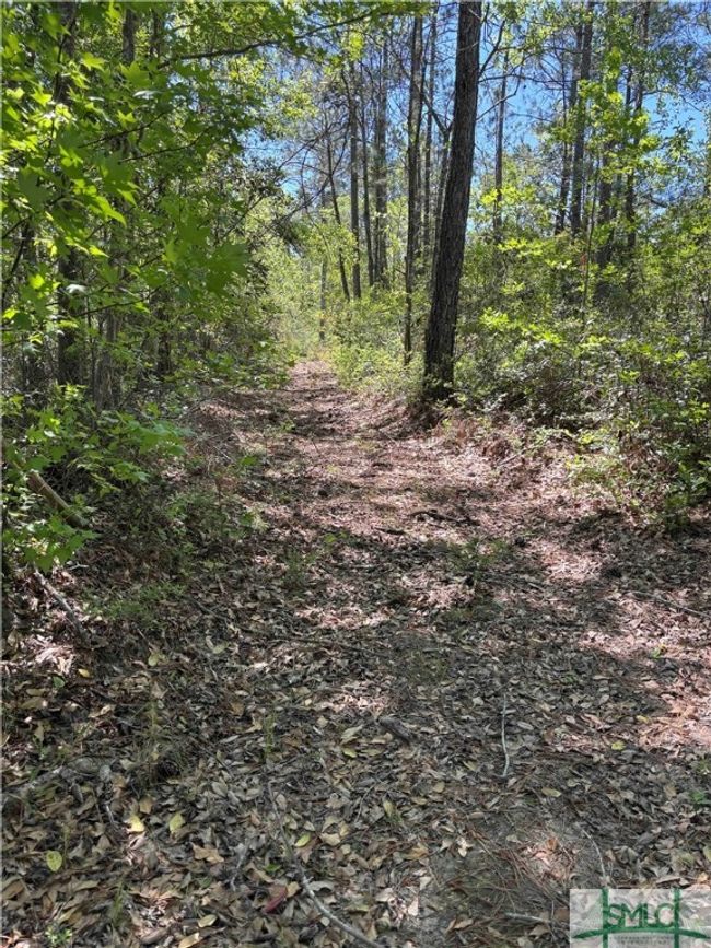 0 Stillwell Rd, Home with 0 bedrooms, 0 bathrooms and null parking in Springfield GA | Image 6