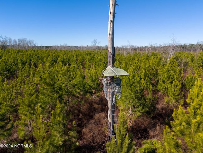 00 Sykes Town Rd, Home with 0 bedrooms, 0 bathrooms and null parking in Currie NC | Image 14