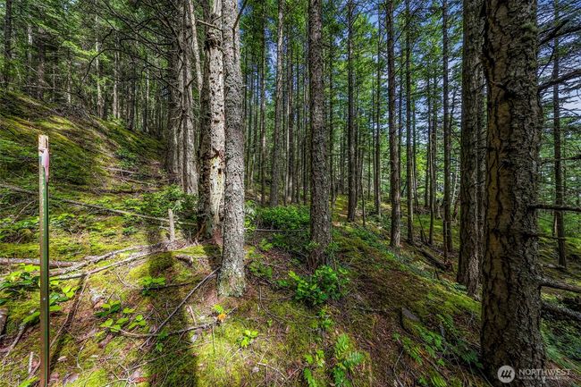3073 Hales Passage Dr, Home with 0 bedrooms, 0 bathrooms and null parking in Lummi Island WA | Image 10