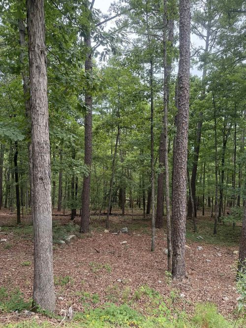 42 Gerante Way, Hot Springs Village, AR, 71909-6217 | Card Image