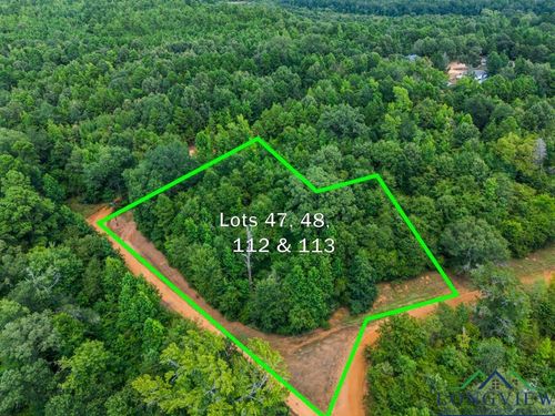 TBD Indian Mound Lake Lot 47, 48 112, And 113, Hawkins, TX, 75765 | Card Image