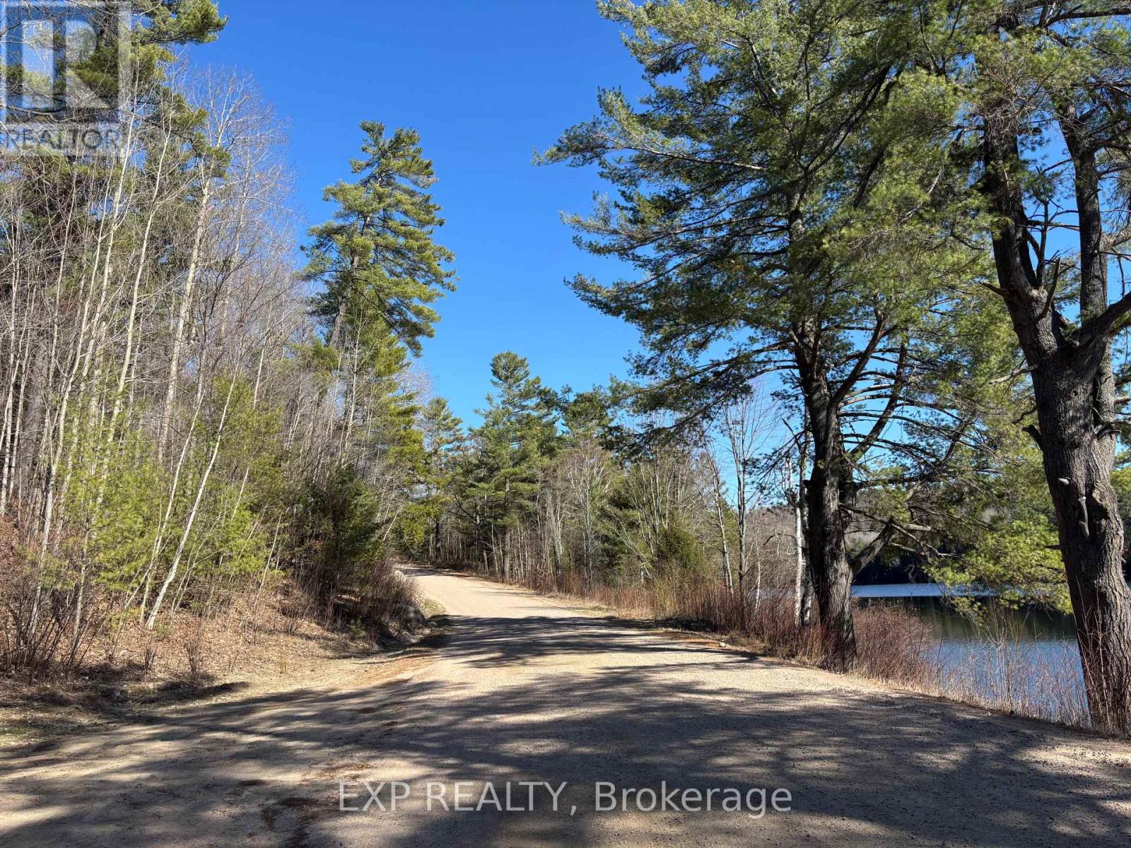 Land in Madawaska Valley 3