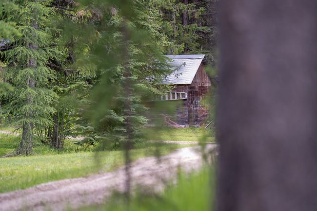 Image | Image 51