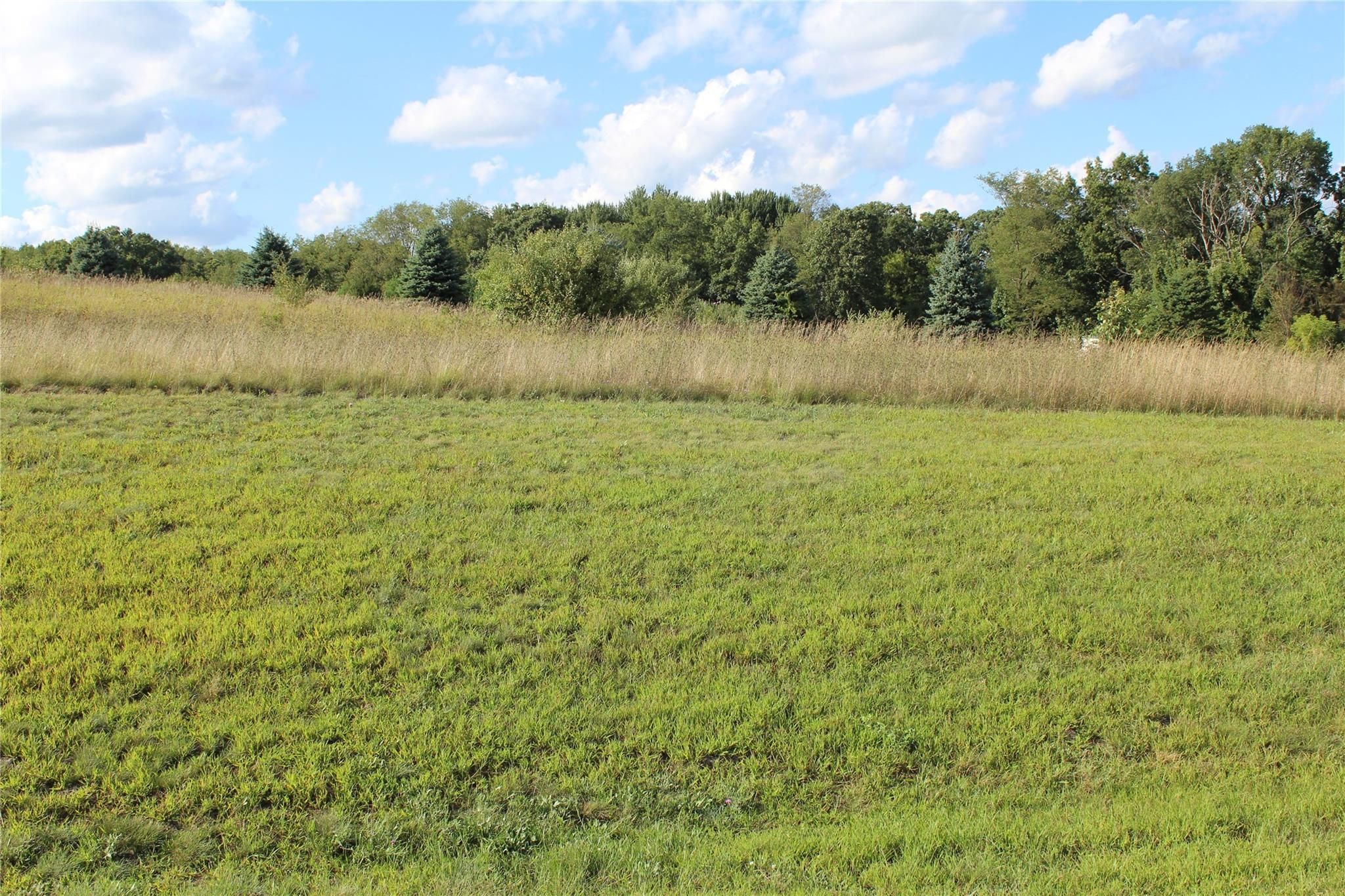 Iosco Ridge Dr, Gregory, MI 48137