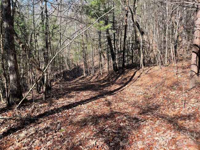 0000 Pine Log Rd, Home with 0 bedrooms, 0 bathrooms and null parking in Warne NC | Image 9