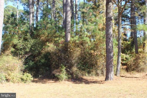 1140 Scimitar Way, GREENBACKVILLE, VA, 23356 | Card Image