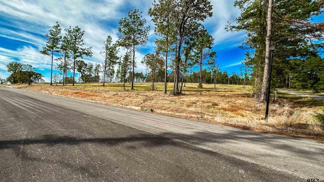 15640 Aniston Ln, Home with 0 bedrooms, 0 bathrooms and null parking in Flint TX | Image 43