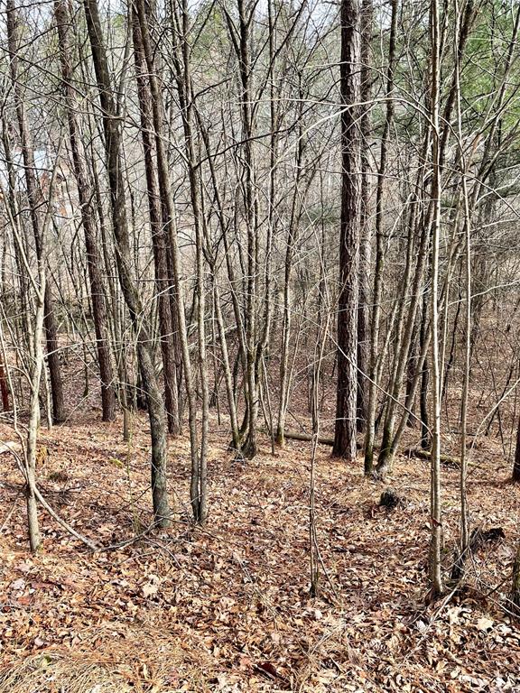 Land in Broken Bow 3
