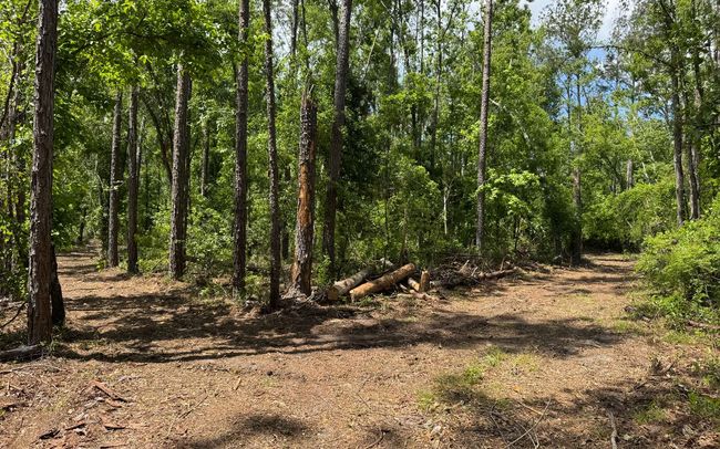 TBD 172 Nd Trce, Home with 0 bedrooms, 0 bathrooms and null parking in LIVE OAK FL | Image 8