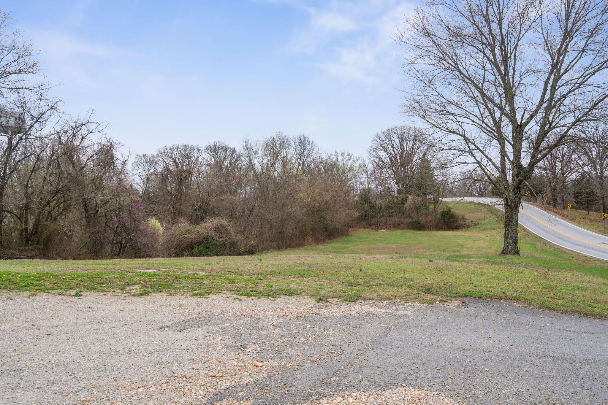 Commercial Sale in Branson 4