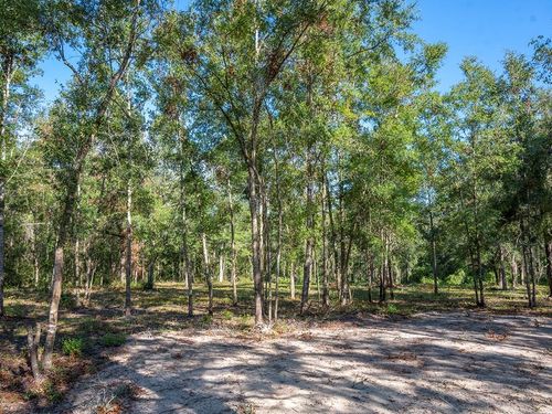 428 Ne 582nd Ave, Old Town, FL, 32680 | Card Image