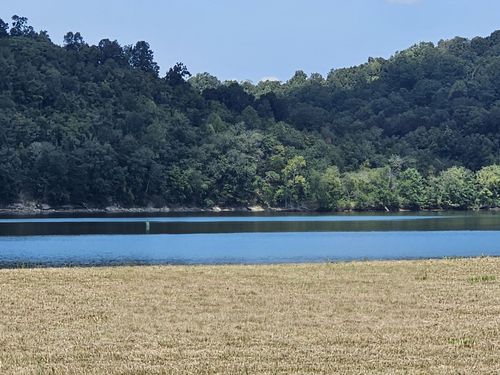2427 Hardin Bottom River Rd, Clifton, TN, 38425 | Card Image