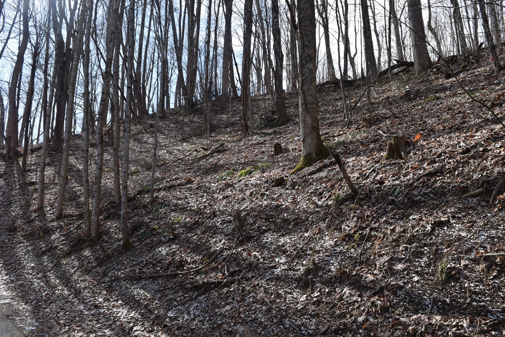 Land in Waynesville 3